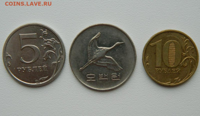 Южная Корея 500 вон 2005 г. (Фауна) до 05.09.25 - DSCN7292.JPG