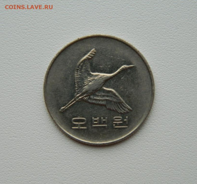 Южная Корея 500 вон 2005 г. (Фауна) до 05.09.25 - DSCN7293.JPG