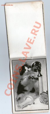 календарики 1981-1997 на оценку - img129