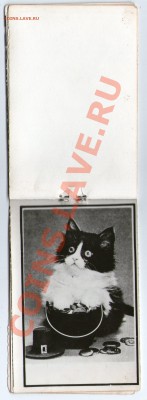 календарики 1981-1997 на оценку - img128