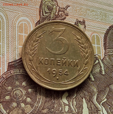 3 копейки 1954. До 08.09.25 в 22.00 - IMG_20250903_134937