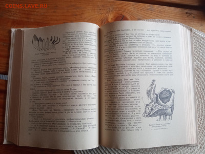 Книга по биологии.гомункулус - IMG_20250903_150929