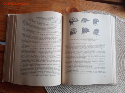 Книга по биологии.гомункулус - IMG_20250903_150850