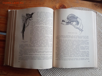 Книга по биологии.гомункулус - IMG_20250903_150838