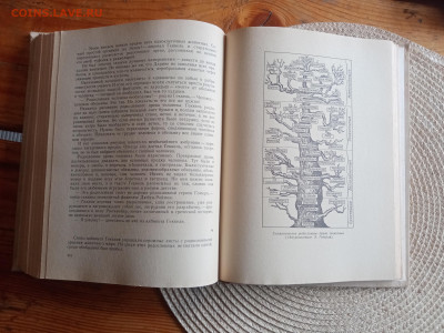 Книга по биологии.гомункулус - IMG_20250903_150826