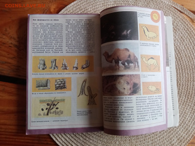 Звери красной книги до 09.09.25 в 22:00 по мск - IMG_20250903_182431