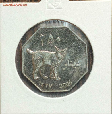 250 динар Курдистан 2006 год,рысь,UNC,до 06.09.25г. 22:00мск - 1000002245_11zon