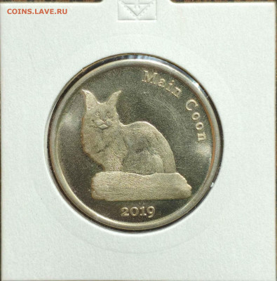 1 ф. о.Стром,Мейн Кун,UNC, до 06.09.25г. 22:00мск - 1000002247_11zon
