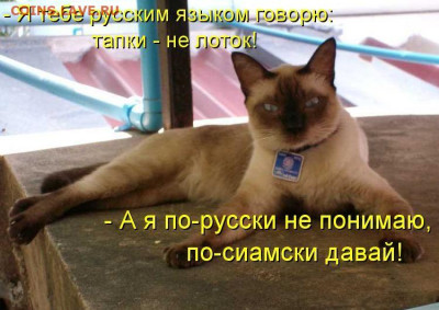 Ассоциация слов. - kotomatritsa_h