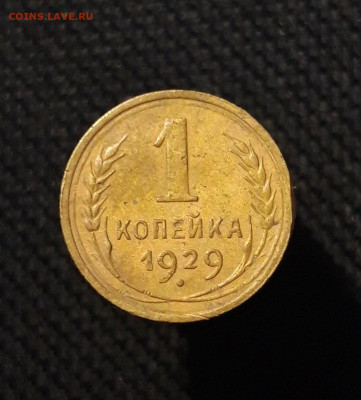 СССР 1 копейка 1929 года До 10.09 - 20250803_210815