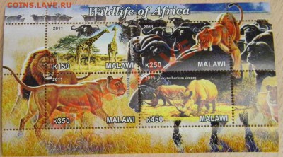 Марки.MALAWI.Фауна.10 блоков. - DSCN4736.JPG