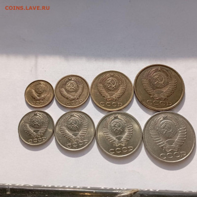 1-50коп. Отличные 1982г.  До 09.09.25г. 22-00мск - photo_2025-09-05_18-28-54