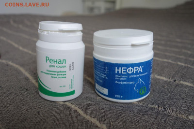 Вниманию кошатников и кошатниц до 15.09.25 - нефра1