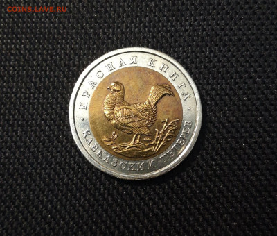 50 рублей 1993 года КК Кавказский Тетерев До 14.09 - 20250416_203340