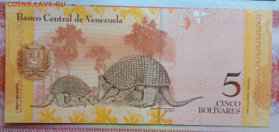 Венесуэла 5 боливар 2007 года до 15.09.2025 - IMG_20250909_013054