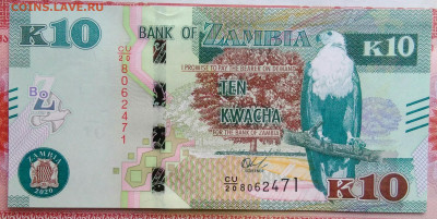 Замбия 10 квача 2020 года до 15.09.2025 - IMG_20250909_012913