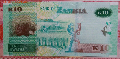 Замбия 10 квача 2020 года до 15.09.2025 - IMG_20250909_012937