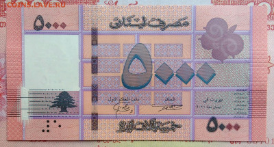 Ливан 5000 ливров 2021 года до 15.09.2025 - IMG_20250909_005113