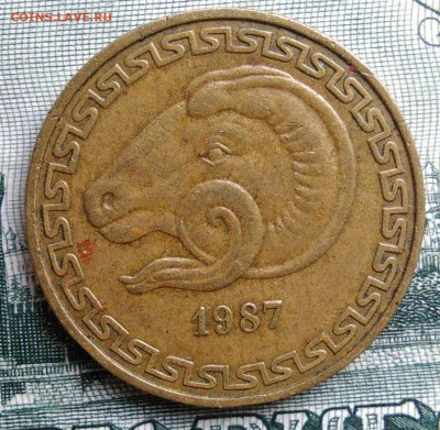 Алжир 20 сантимов 1987 года до 15.09.2025 - IMG_20250909_231335
