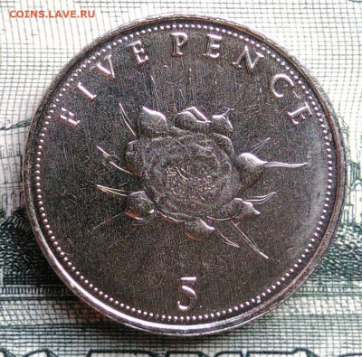 Гибралтар 5 пенсов 2016 года до 15.09.2025 - IMG_20250909_221549