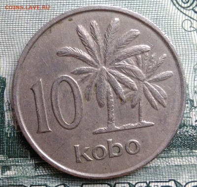 Нигерия 10 кобо 1973 года до 15.09.2025 - IMG_20250909_223725