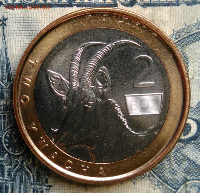 Замбия 2 квача 2024 года до 15.09.2025 - IMG_20250903_095135