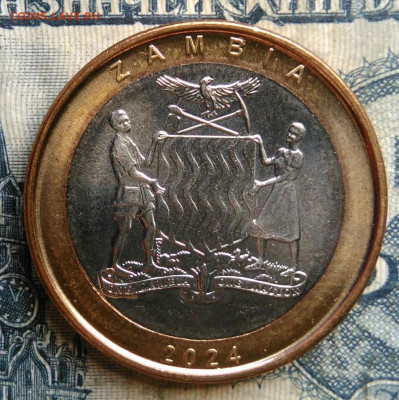 Замбия 2 квача 2024 года до 15.09.2025 - IMG_20250903_095157