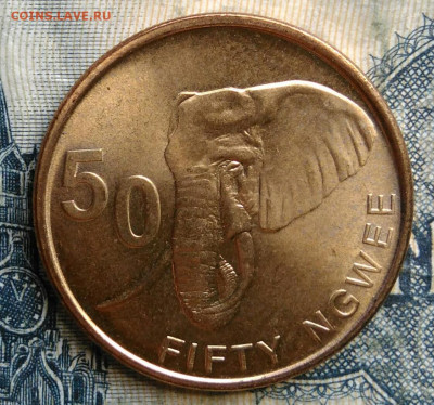 Замбия 50 нгве 2024 года до 15.09.2025 - IMG_20250903_095214