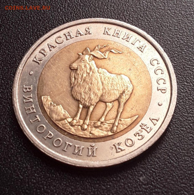 КК Винторогий козел до 16.09.22:00 - кк вирт