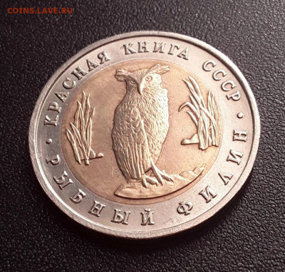 КК Рыбный филин до 16.09.22:00 - кк рыб