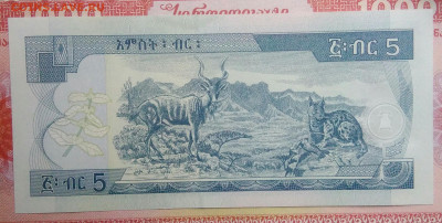 Эфиопия 5 быр 2017 года до 15.09.2025 - IMG_20250903_222959