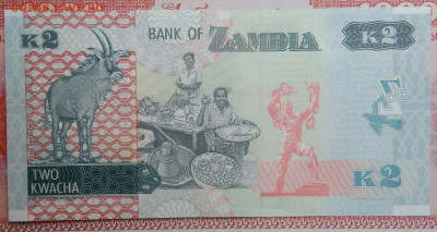 Замбия 2 квача 2020 года до 15.09.2025 - IMG_20250903_220136