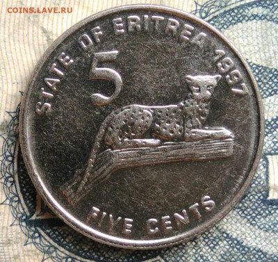 Эритрея 5 центов 1997 года до 15.09.2025 - IMG_20250902_001046