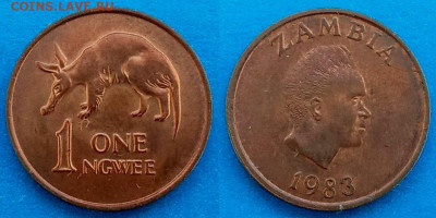 Замбия - 1 нгве 1983 года до 17.09 - Замбия 1 нгве, 1983   30
