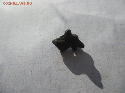 Скифи зверёк . - IMG_1.JPG