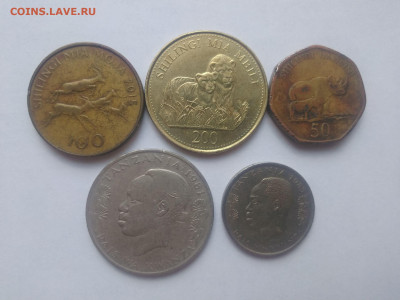 ФИКС Монеты Мавритании,Сан Томе,Танзан до 17.09.2025 22-00 - Набор монет Танзании 1