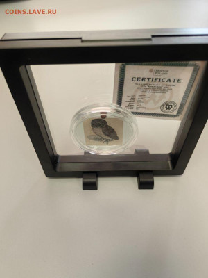 500фр 2021 Камерун Дюрер Маленькая сова, Ag999, до 21.09 - Ч Дюрер Сова-1