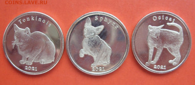 1 фунт Строма  кошки 2021 3 штуки. UNC. - 1 фунт Строма  кошки 2021 3 штуки - 1