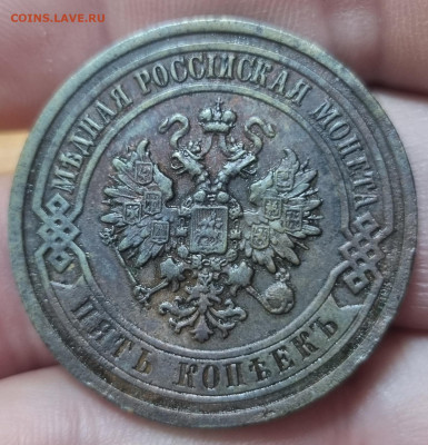 5 копеек 1911 медь. Оценка! - 20250916_110336