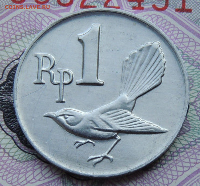Индонезия 1 рупия 1970 №4 до 21.09.2025 - Индонезия 1 рупия 1970.4 .JPG