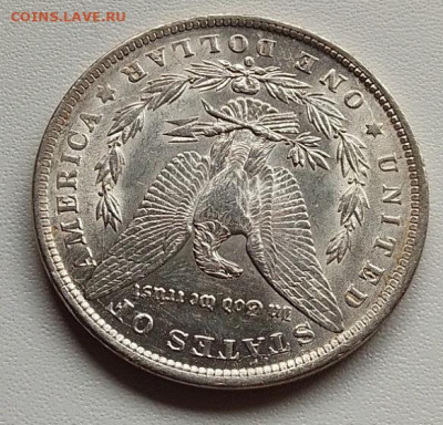 США, 1 доллар 1884 до 21.09.25 в 22.00 - IMG_20250917_132254