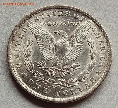 США, 1 доллар 1884 до 21.09.25 в 22.00 - IMG_20250917_132302