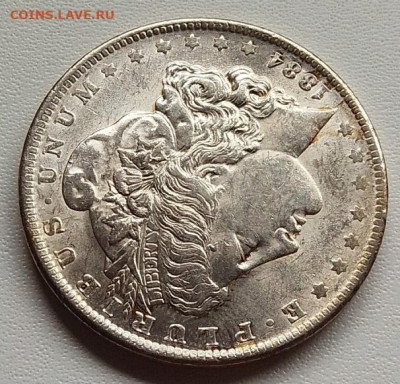 США, 1 доллар 1884 до 21.09.25 в 22.00 - IMG_20250917_132247