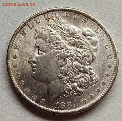 США, 1 доллар 1884 до 21.09.25 в 22.00 - IMG_20250917_132242