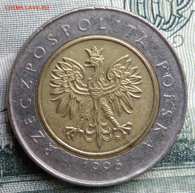 Польша 5 злотых 1996 года до 22.09.2025 - IMG_20250909_231905