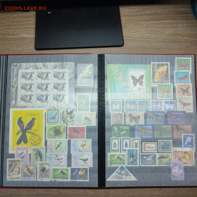 Альбом с марками, 16листов (32 страницы), до 20.09.2025г. - IMG_20250917_082927