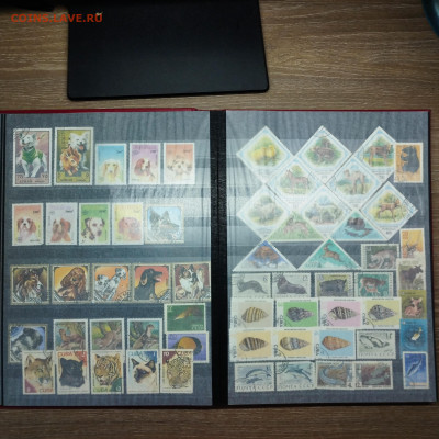 Альбом с марками, 16листов (32 страницы), до 20.09.2025г. - IMG_20250917_082916