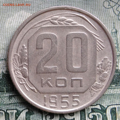 20 копеек 1955 года до 22.09.2025 - IMG_20250919_012344