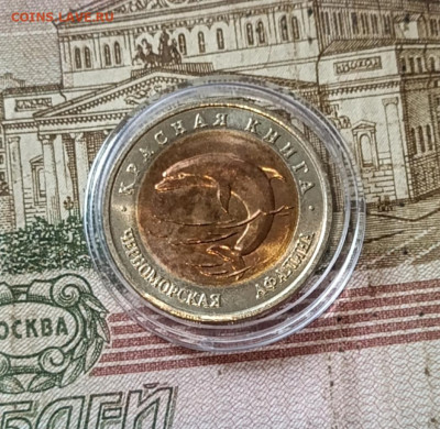 Красная книга 1993 год фикс в капсулах до 22.09 - 47