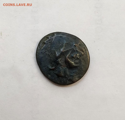 Фанагория, тетрахалк. до 23.09.2025. 22.00мск. - IMG_20250917_172551